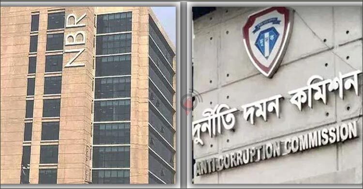 February 4 2025/doduk nbr dw.jpg